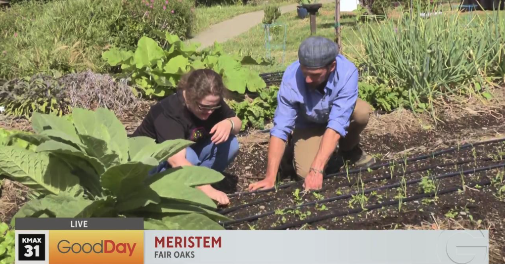 Woman and man bend over a garden bed to plant starts.